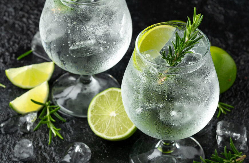 Come si prepara un Gin Tonic perfetto a casa? Le regole