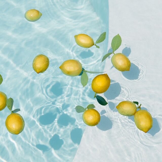 Muma è buon gusto e audacia. Nel nostro gin si fondono sei botaniche essenziali selezionate, tra cui l’acqua del Mar Mediterraneo e i freschi limoni dalle note agrumate. 
Sappiamo cosa hai pensato: il gusto dell’estate in una bottiglia.

Assaporarlo è semplice: clicca nel link in bio per lo shop e scegli il formato d’estate che preferisci! 

#mumagin #comequelbaciosalato #baciosalato #mumamoments #gin #gintonic #bar #cocktail #instagood #aperitivo #cocktailbar #ginlovers #happyhour #italia #pugliagram #weareinpuglia #igerspuglia